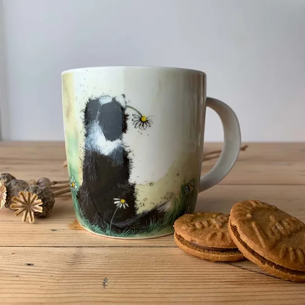 Bild von COLLIE & FLOWERS