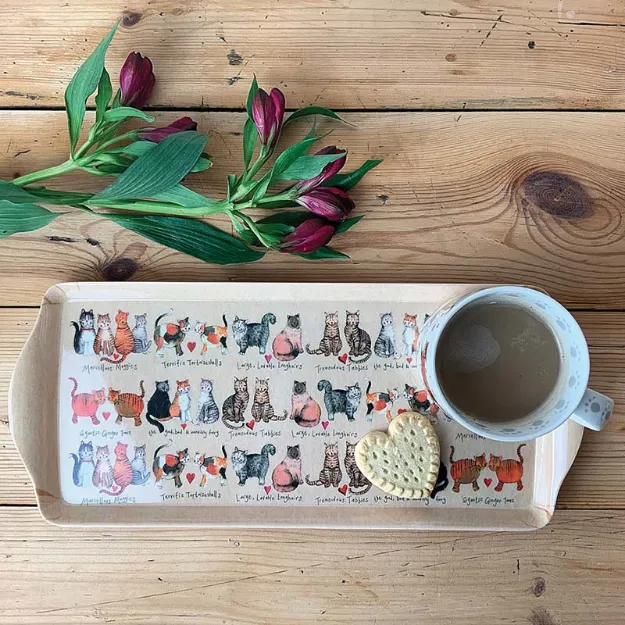 Bild von MEDIUM CAT TRAY