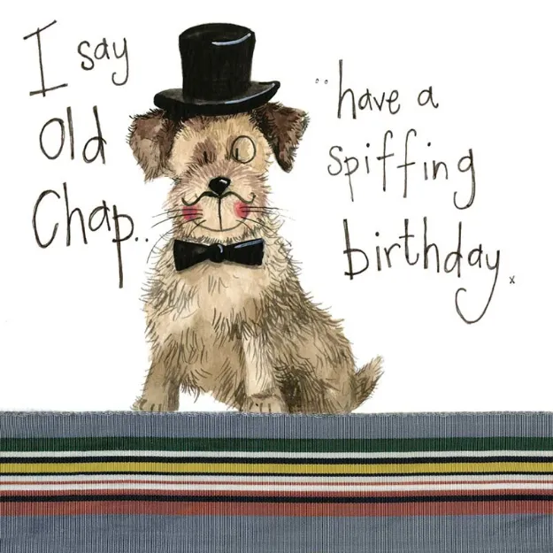 Bild von POSH PAWS BIRTHDAY CARD