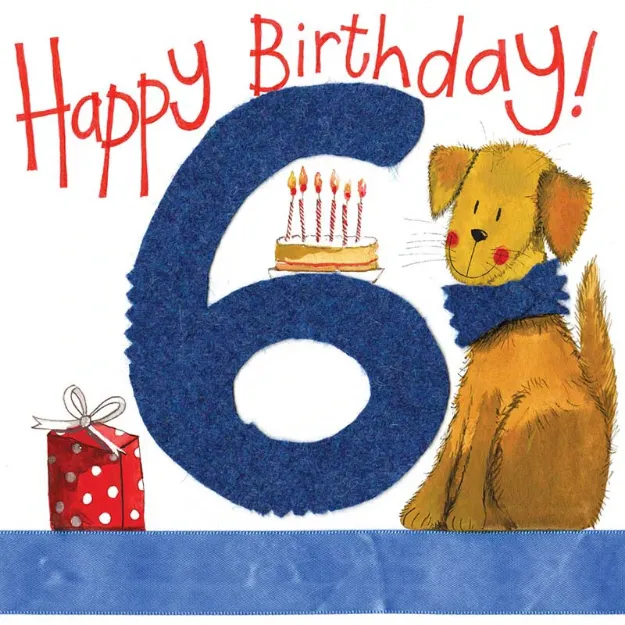 Bild von SIX FOR A BOY 6TH BIRTHDAY