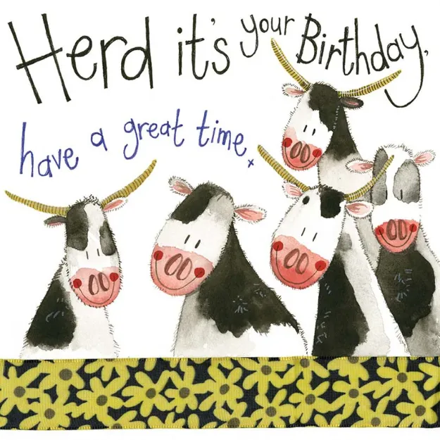Bild von DAIRY HERD BIRTHDAY CARD