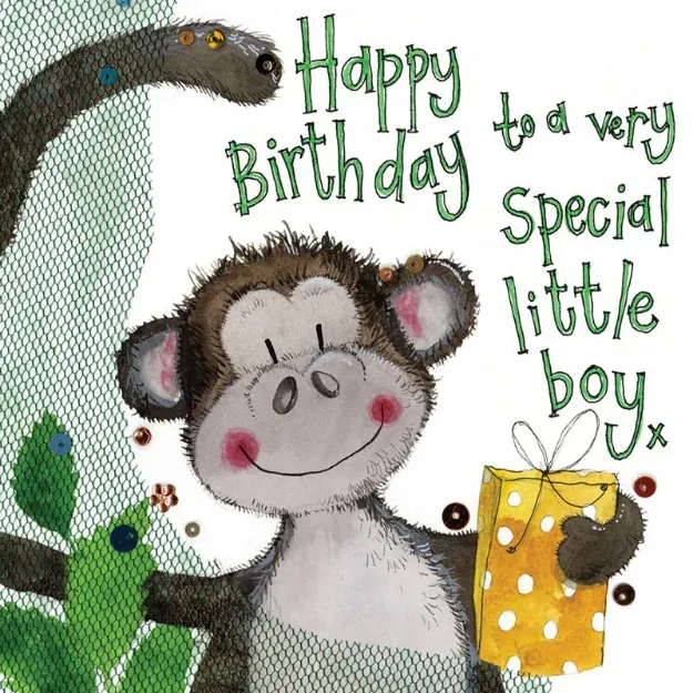 Bild von LITTLE BOY MONKEY BIRTHDAY CARD