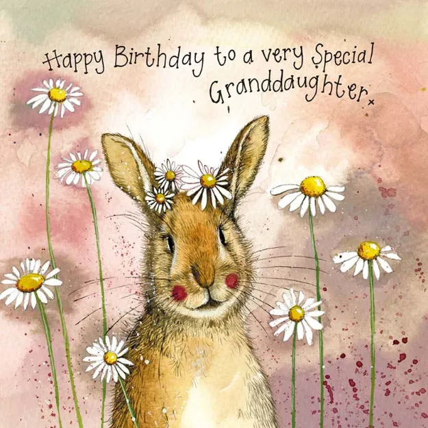 Bild von RABBIT & DAISIES GRANDDAUGHTER CARD