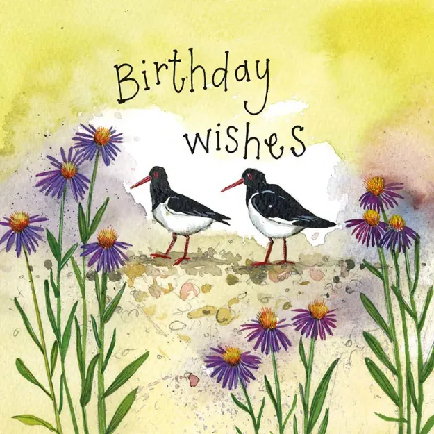 Bild von OYSTERCATCHER & SEA ASTER BIRTHDAY CARD