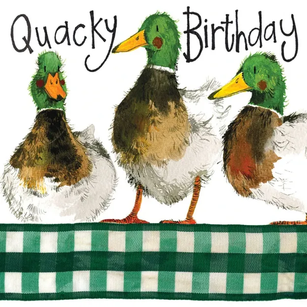 Bild von HAPPY MALLARDS BIRTHDAY CARD