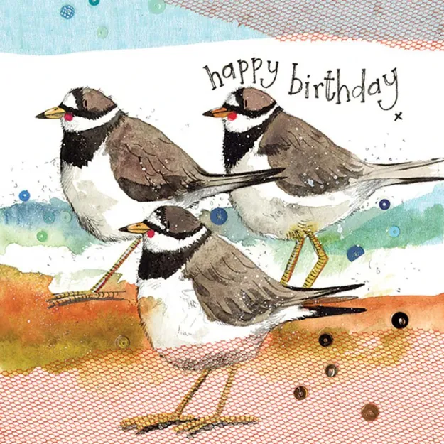 Bild von RINGED PLOVERS CARD