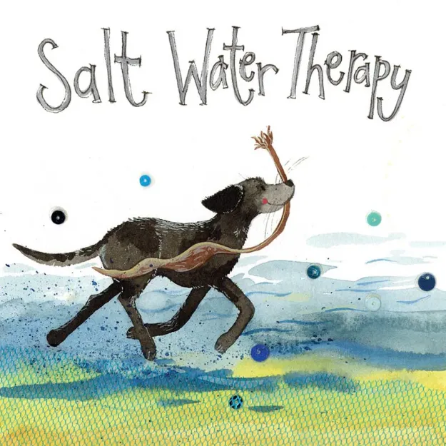 Bild von SALTWATER THERAPY CARD