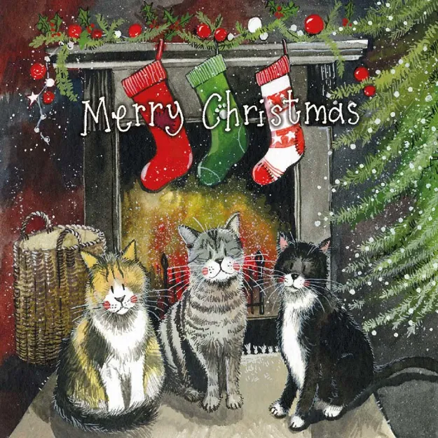 Bild von CHRISTMAS FELINES