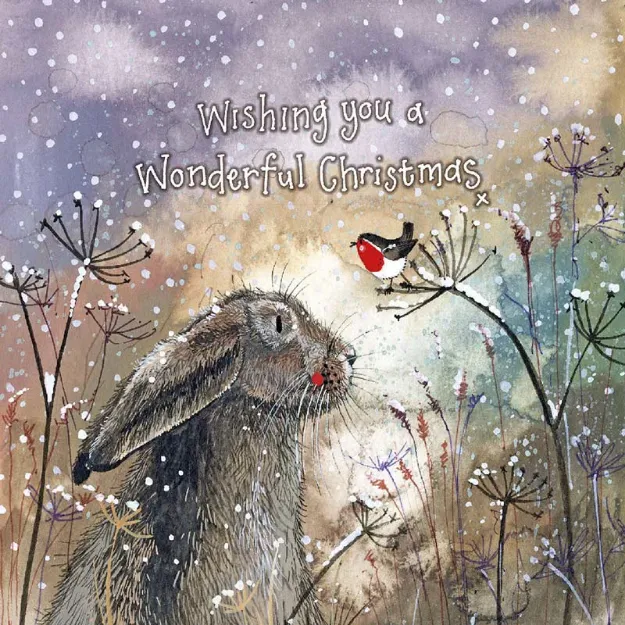 Bild von CHRISTMAS HARE