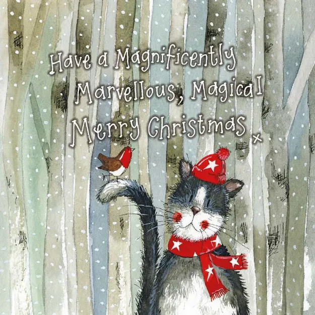 Bild von CHRISTMAS CAT