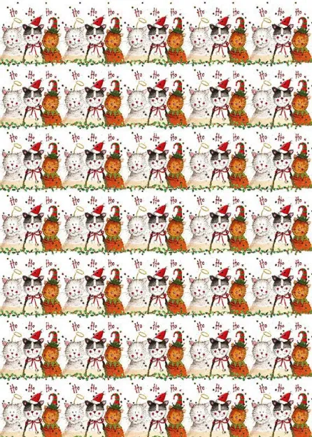 Bild von CHRISTMAS CAT WRAP