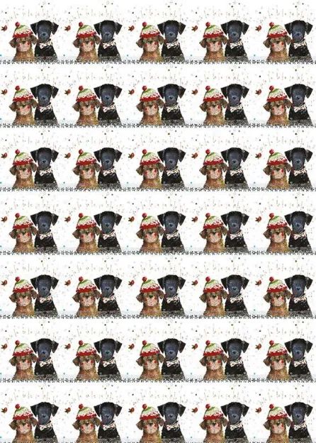 Bild von CHRISTMAS DOG WRAP