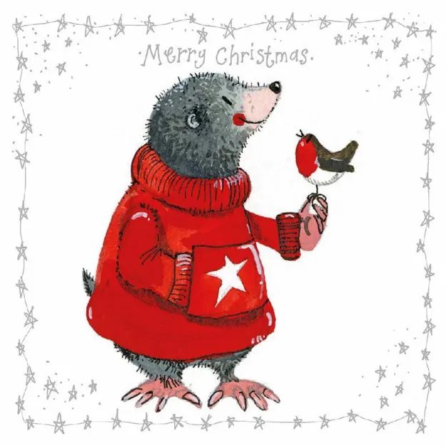 Bild von MOLE & ROBIN