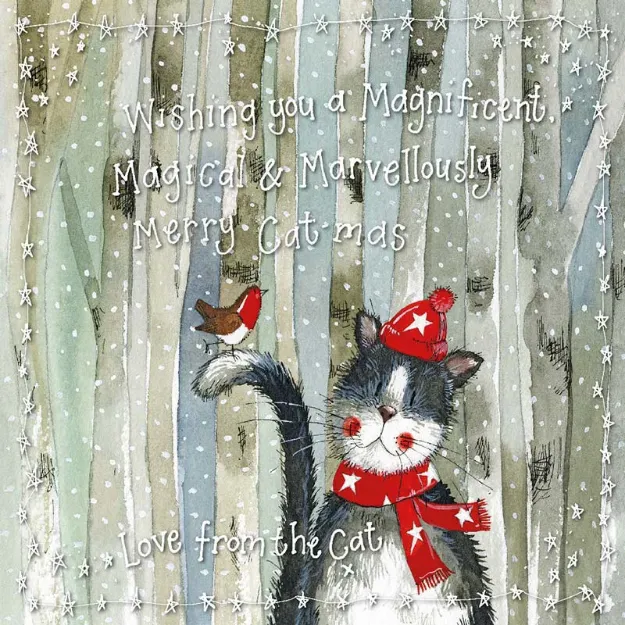 Bild von CHRISTMAS FROM THE CAT