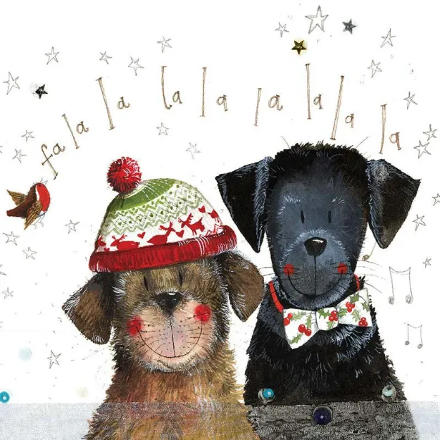 Bild von BOBBLE AND BOW