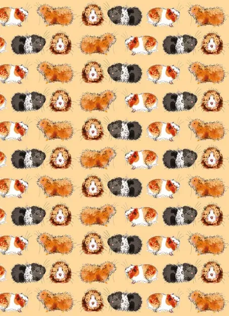 Bild von GORGEOUS GUINEA PIGS