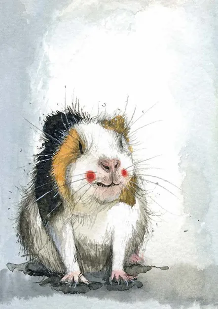 Bild von GUINEA PIG