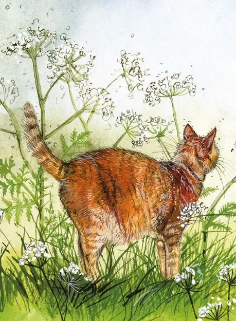 Bild von CAT IN THE COW PARSLEY