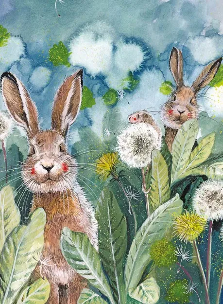Bild von LITTLE RABBITS
