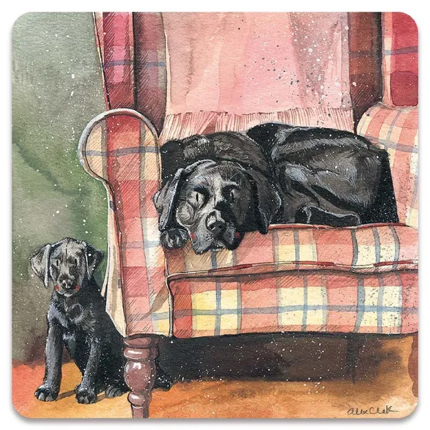 Bild von SOPHIE AND SCARLETT