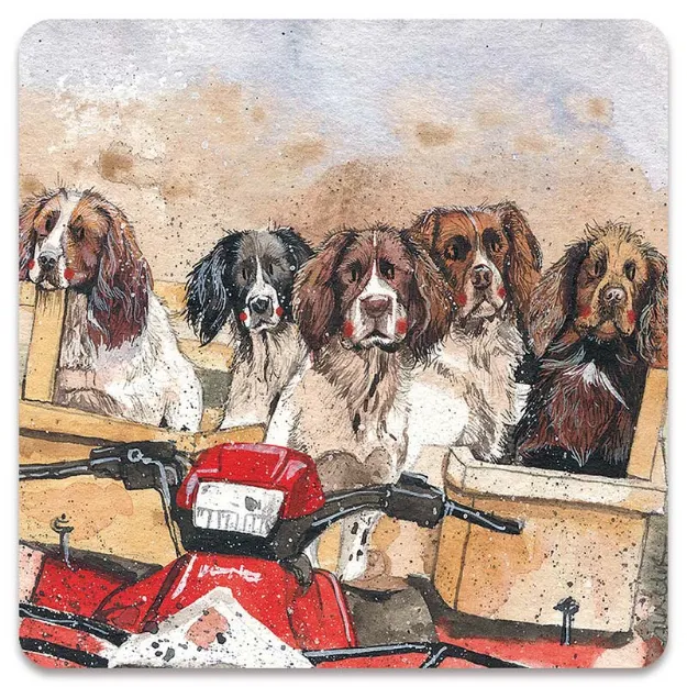 Bild von SPANIEL TEAM