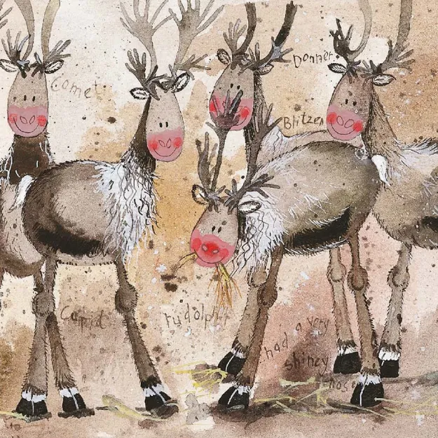 Bild von REINDEER HERD