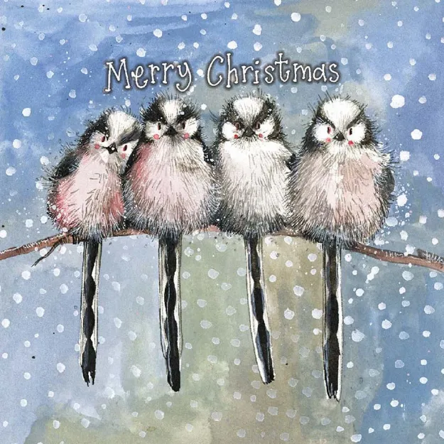 Bild von CHRISTMAS LONG TAILED TITS