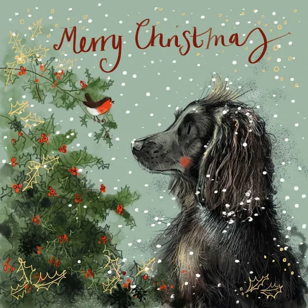 Bild von SPANIEL AND HOLLY