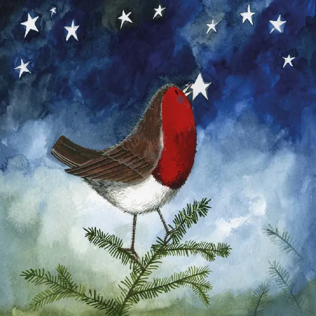 Bild von ROBIN AND STAR