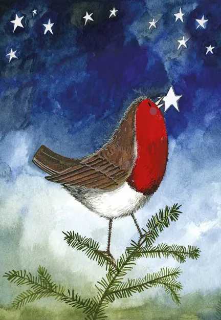 Bild von ROBIN & STAR