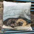 Bild von SNOUTS CUSHION