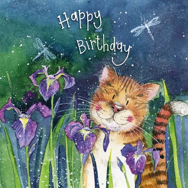 Bild von OUT AT NIGHT BIRTHDAY CARD