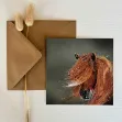 Bild von HORSE BLANK CARD