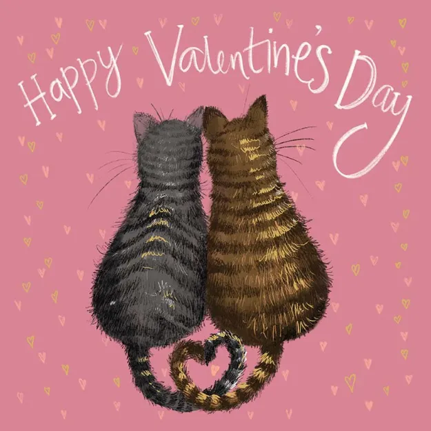 Bild von SPRS59 VALENTINE CAT VALENTINES CARD
