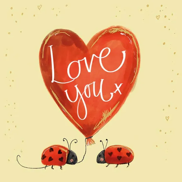 Bild von SPRS61 LADYBIRD LOVE YOU VALENTINES CARD