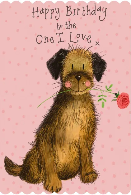 Bild von ROSIE BORDER BIRTHDAY CARD