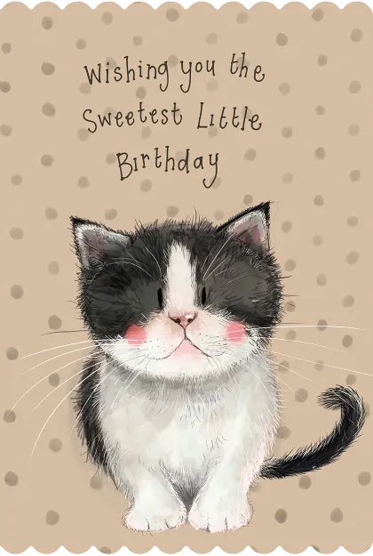 Bild von KITTEN BIRTHDAY CARD