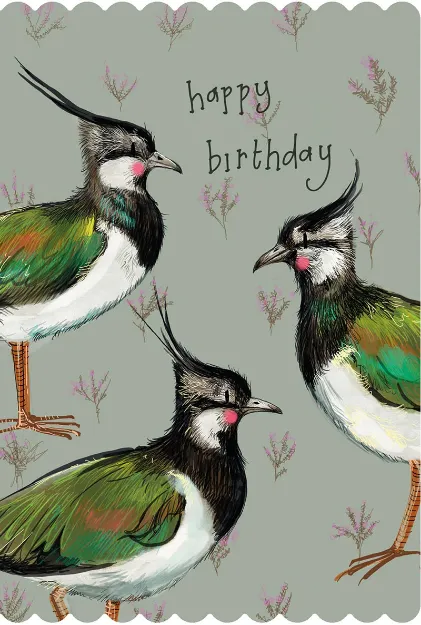 Bild von LAPWINGS BIRTHDAY CARD