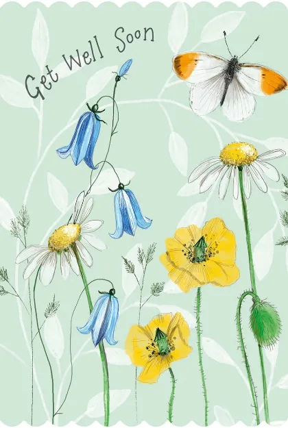 Bild von BUTTERFLY MEADOW GET WELL SOON CARD