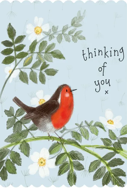 Bild von ROBIN AND ROSE THINKING OF YOU CARD