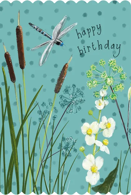 Bild von DRAGONFLY BIRTHDAY CARD