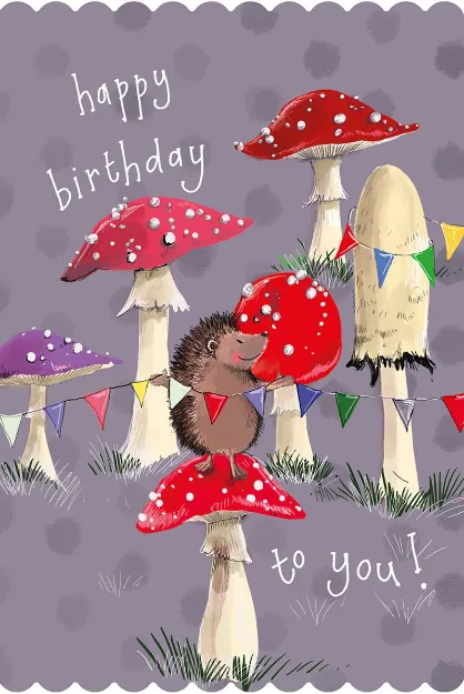 Bild von TOADSTOOLS BIRTHDAY CARD