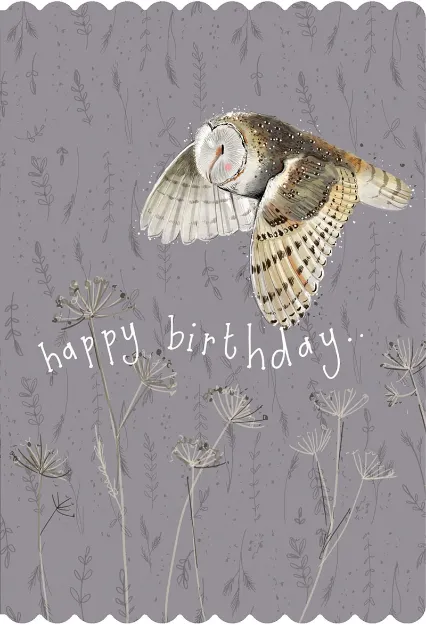 Bild von BARN OWL BIRTHDAY CARD