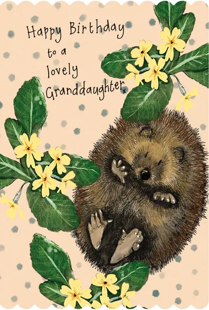 Bild von HEDGEHOG AND PRIMROSES BIRTHDAY GRANDDAUGHTER CARD