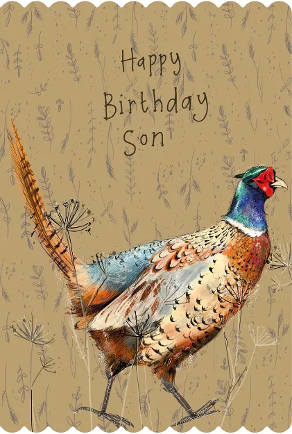 Bild von PHEASANT BIRTHDAY SON CARD