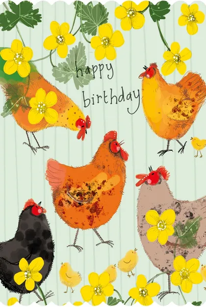 Bild von CHICKENS BIRTHDAY CARD