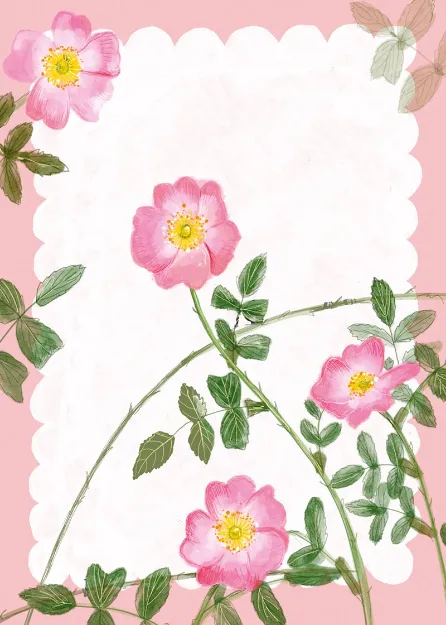 Bild von SWEET BRIAR BLANK CARD