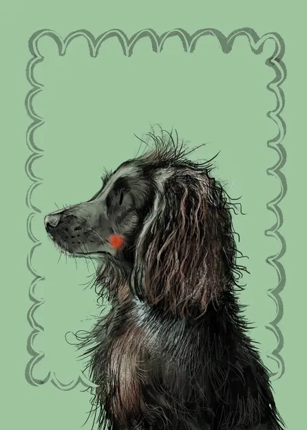 Bild von LITTLE SPROUT BLANK CARD