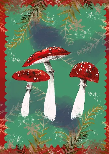 Bild von TOADSTOOLS BLANK CARD