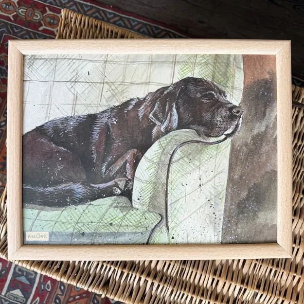 Bild von BUDDY LAP TRAy